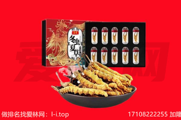 道外区回收虫草.jpg